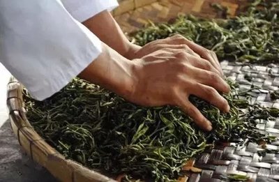 茶道中的璞玉——龍筒茶的本來面目